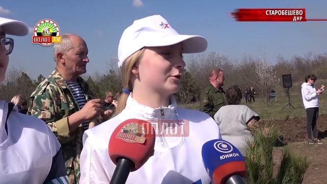 • Старобешево. Глава ДНР заложил хвойный лес