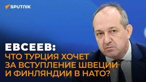 Эксперт объяснил, чего хочет Турция взамен вступления Финляндии и Швеции в НАТО