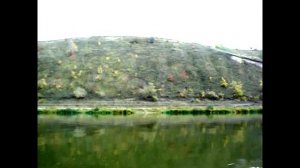 Дон. База "Рыба Зверь". Лучший в жизни отпуск!