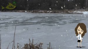 Влияние уровня воды в водоеме на клев рыбы зимой!? Влияет ли уровень воды на клев рыбы?