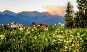 Роза Хутор низ: отель Valset Apartments, большой номер
