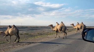 Бюджетное путешествие по Средней Азии
