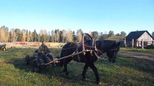 На лошадиной телеге за интернетом! Отремонтировали старую телегу и отправились в путь!
