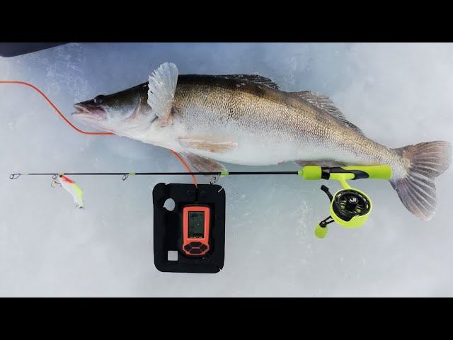 ЗИМНЯЯ РЫБАЛКА НА СУДАКА С ЭХОЛОТОМ ПРАКТИК.ЛУЧШАЯ УДОЧКА НА СУДАКА.ЛУЧШИЕ ПРИМАНКИ НА СУДАКА.р.КАМА смотреть онлайн