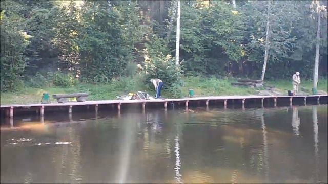 Первое знакомство с блесной Ronin Rush. Форель на спиннинг, спорт зона. Клёвое место. смотреть онлайн