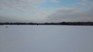Мототолкач 380 гусеницы,на скорости угол раз ворота.
