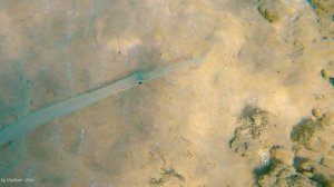 Египет 2021 Отель Менавиль Сафага Хургада Menaville Safaga Kоралловый риф! Черепаха! Мурена!