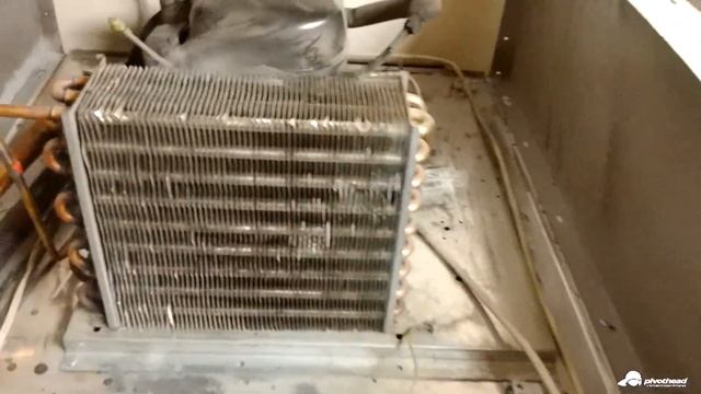 Очистка холодильных шкафов POLAIR. Karcher MV6p premium. смотреть онлайн