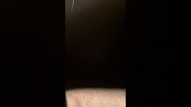 New ADAM JONES Marshall settings??? смотреть онлайн