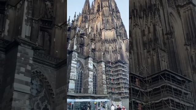 Cologne Cathedral Germany ?? #shorts #moreviews #Cologne #Cathedral #colognecathedral