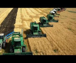 Комбайнёры (Игорь Растеряев). Правдозор.