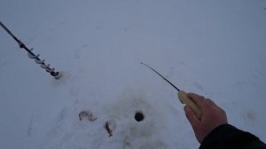 Балансиры Герасимова косят окуньков такого же размера ???