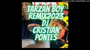 Baltimora - Tarzan Boy ( remix 2023 dj cristian pontes )