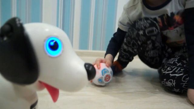 СОБАКА РОБОТ по кличке Дэкел от Silverlit - Распаковка ИГРУШКИ для детей