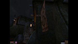 Cheap-tailed Mages... - Aréannah in Morrowind