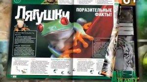 Animal Planet. Детский клуб. Номер 2