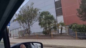 Канарские Острова, Фуэртевентура. Приятное путешествие по райскому острову.