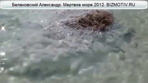 Что такое мертвое море
