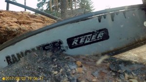 Заготовка дров,вылазка в лес за малиной,парение по царски ))