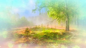 Футаж. Летний пейзаж 13