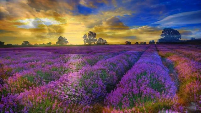 Рассвет | Обои для рабочего стола смотреть онлайн