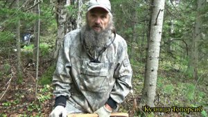 тест рубка сухостоя часть 2