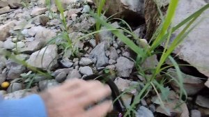 Рыбалка на горной реке Сомня, район им. Полины Осипенко Хабаровский край.