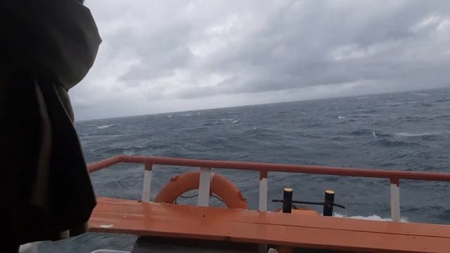 TERBARU // JAVA SEA смотреть онлайн