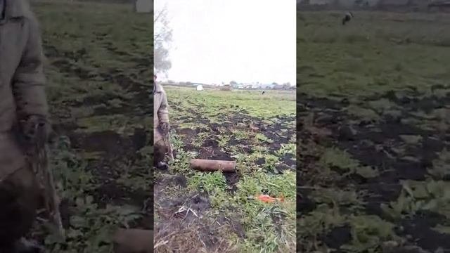 Марийцы
