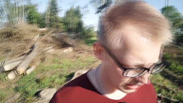 Лес рубят - щепки летят смотреть онлайн