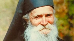 Сила доброй мысли. Фаддей Витовницкий