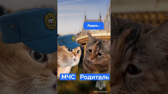 ✅Ребенок знает - родитель спокоен