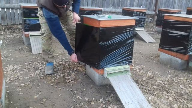 Утепление улья за 8 рублей. 7 апреля 2019г. смотреть онлайн