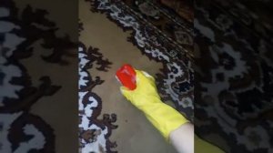 Как почистить ковер. Как почистить палас.