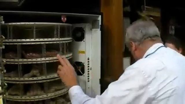 Nordhessens erster Wurstautomat steht in Calden смотреть онлайн
