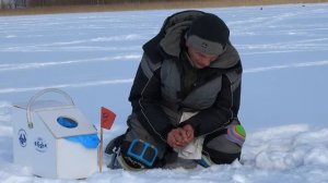 ЧЕМПИОНАТ ПСКОВСКОЙ ОБЛАСТИ ПО ЛОВЛЕ РЫБЫ НА МОРМЫШКУ 2018Г.