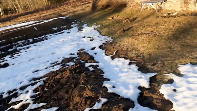 голубика.открытие сезона. первичные работы смотреть онлайн