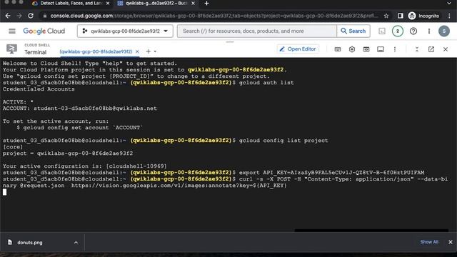 Detect Labels, Faces, and Landmarks in Images with the Cloud Vision API GSP037 смотреть онлайн