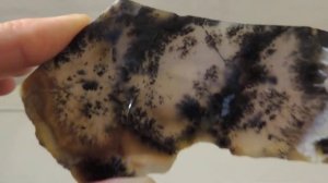 Срез мохового агата, зеркальная полировка.