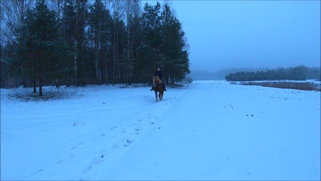 Выехали верхом спустя долгое время. У меня юбилей // Жизнь на хуторе смотреть онлайн