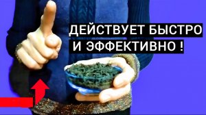 Самая простая подкормка для ДЕКАБРИСТА после цветения!Действует Быстро и Эффективно!