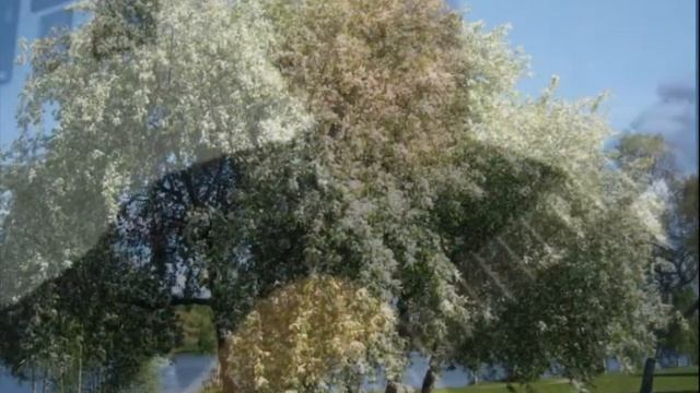 Позови меня. Аранжировка М. Чигинцева смотреть онлайн