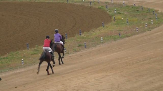 Рысь под седлом. Емельяновский ипподром 2021 сельские смотреть онлайн