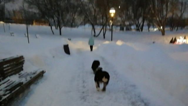 Прогулка вечером под Гилмора