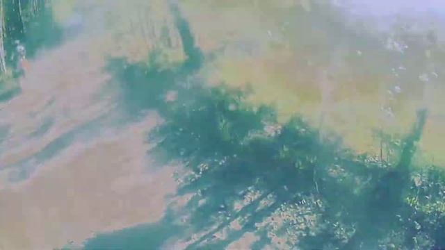 мудак на ниве не в первый раз носится #покатушки #питбайк смотреть онлайн