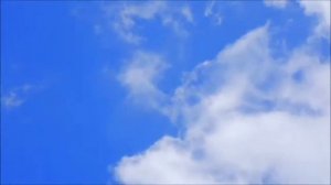 ГОЛУБЫЕ ПОГОНЫ  2021 год