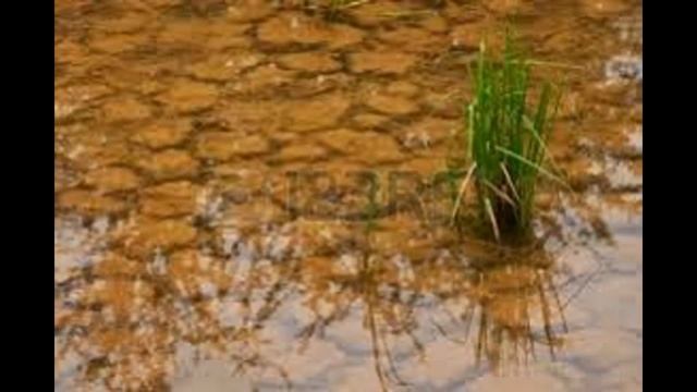 Wonderschoon / Water Wonder смотреть онлайн