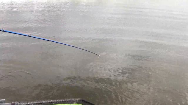 ВЫВАЖИВАНИЕ трофейной ЩУКИ, 12+ кг. смотреть онлайн