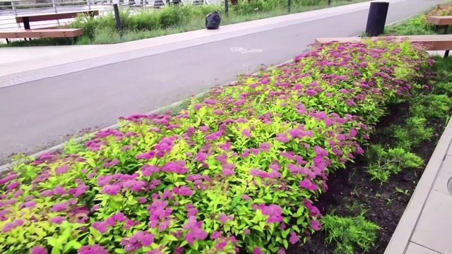 Челябинск Видео зарисовка июня Набережная р. Миасс парк Гагарина 26.06.2022г