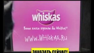 Whiskas   идеальный  корм для котят